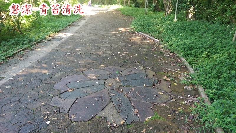 磐潔-步道-青苔清洗